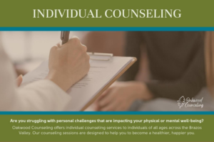 individual counseling